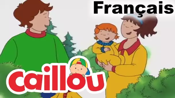 Caillou: Vive Le Camping | conte pour enfant | Caillou en Français