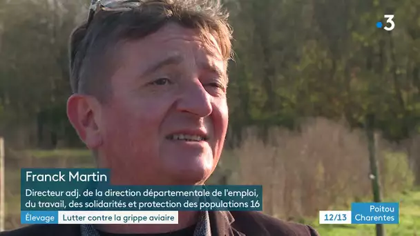 Grippe aviaire, les élevages se confinent en Charente