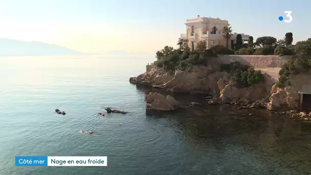 Côté mer : toute l'actu de la semaine en méditerranée 28/01/2022