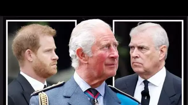 Le prince Harry et le prince Andrew ne remplaceront jamais le roi Charles en raison d'un changement