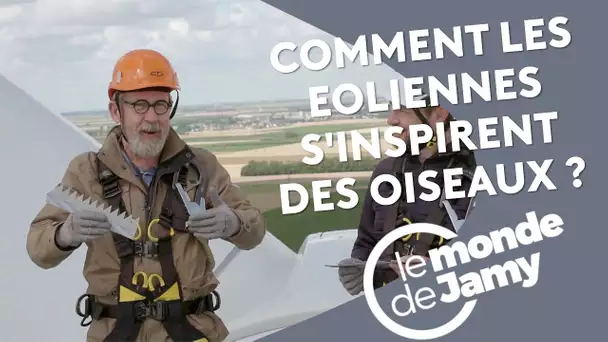 Comment les éoliennes s'inspirent des oiseaux ?