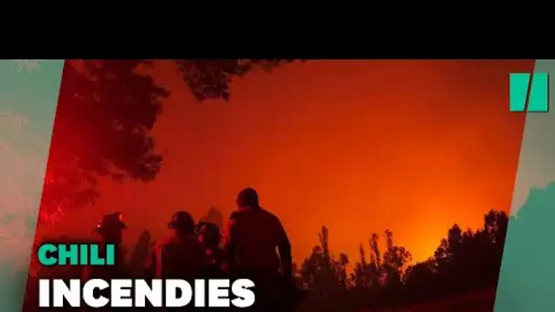 Au Chili, plus de 200 incendies continuent de faire rage
