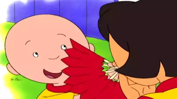 Caillou et L'éventail | Caillou en Français