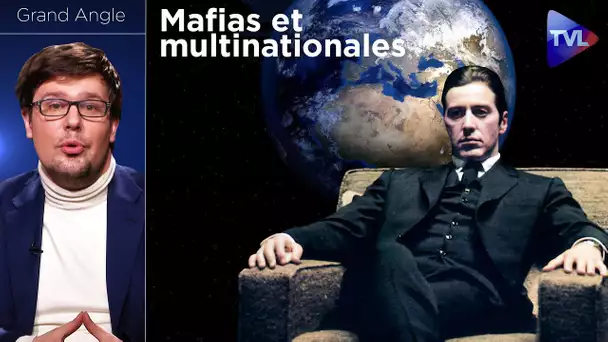 Mafias et multinationales : vers une planète bananière ? - Grand Angle (Pierre-Yves Rougeyron) - TVL