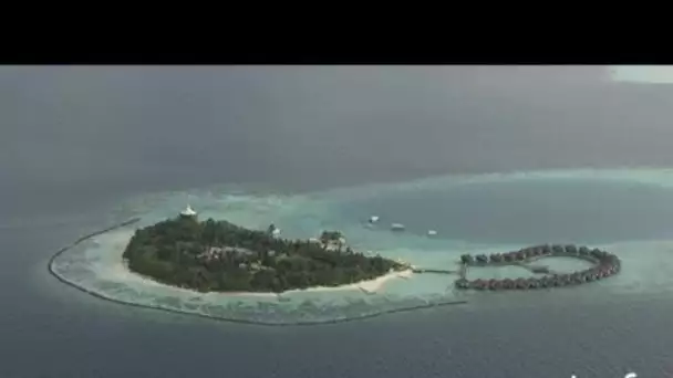Maldives : îles hôtel