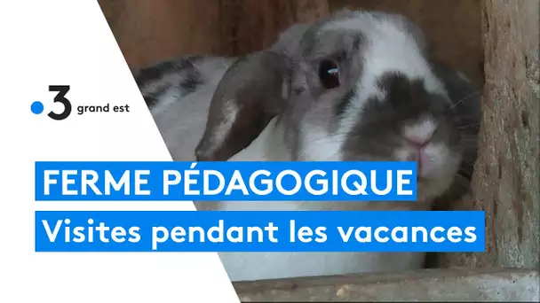 Découverte d'une ferme pédagogique en Haute-Marne