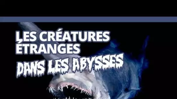 Top des créatures étranges qu'on trouve dans les abysses