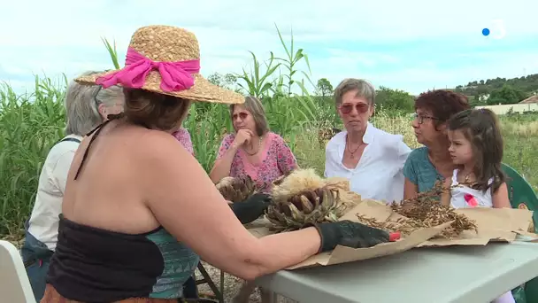 PrioriTerre au jardin de semences paysannes Graines de Oaï à Gignac la Nerthe