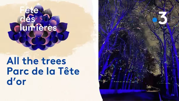 Fête des lumières 2023 - All the trees – Parc de la Tête d’or