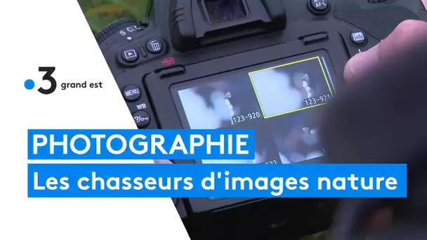 Rencontres instants nature : ces passionnées chasseurs d'images nature