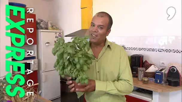 Un potager dans mon salon