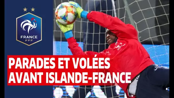 Volées et parades à Reykjavik, Equipe de France I FFF 2019