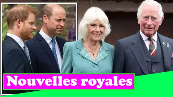 Le prince Harry et le prince William en ont marre que Charles fasse pression pour le titre de reine