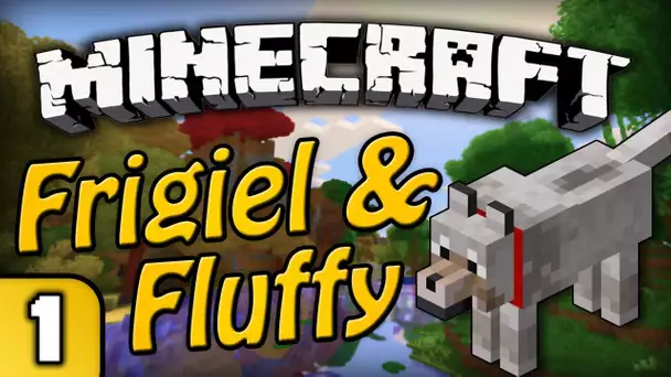 Frigiel & Fluffy : La quête de l&#039;EnderDragon | Minecraft -  Ep.1
