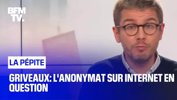 Griveaux: l'anonymat sur Internet en question