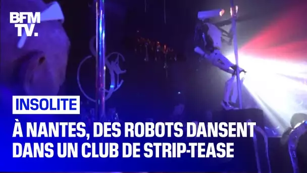 À Nantes, des robots dansent dans un club de strip-tease
