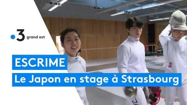 Escrime : les équipes de sabre du Japon en stage à Strasbourg