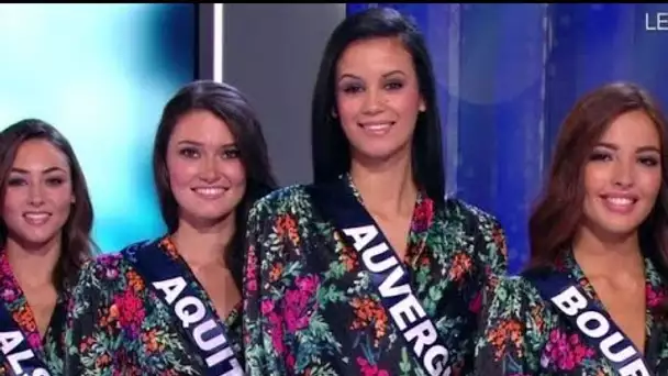 Miss France 2020 : cette reine de beauté qui fait du placement de produits