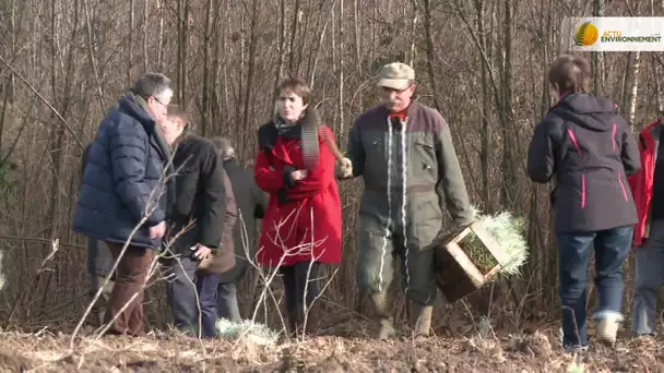 Le stockage de carbone peut-il doper l&#039;exploitation forestière ?