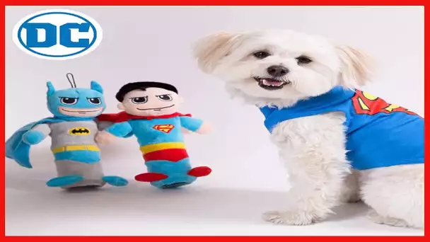 DC Comics for Pets Batman Logo Dog Tee