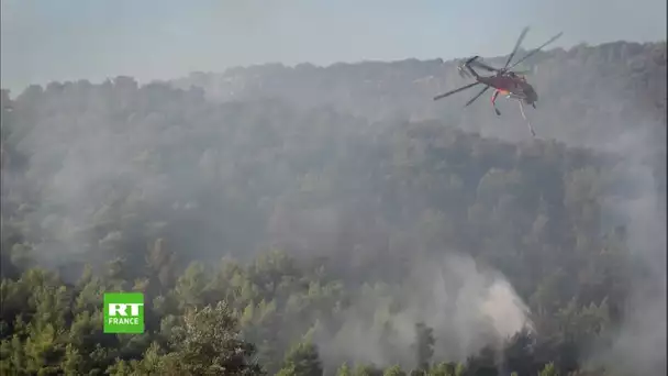 Grèce : l&#039;île d&#039;Eubée frappée par de violents incendies