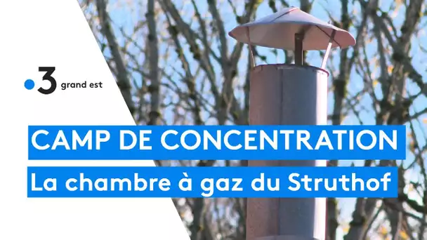 Mémoire : la chambre à gaz du camp de concentration du Struthof rouvre au public