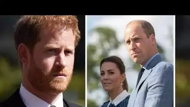 William est parti « estomaqué » après qu'Harry « ait entraîné Kate dans une ligne d@ngereuse »