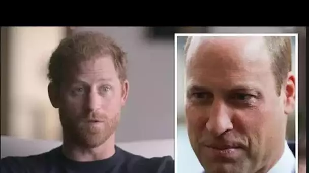 Le prince Harry "s'est senti malade" après l'excuse en quatre mots de William pour refuser la demand