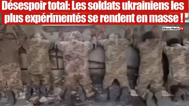 Désespoir : les soldats les plus aguerris de l'Ukraine capitulent en masse.