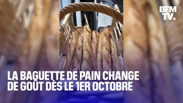 Pourquoi notre baguette de pain n’aura plus tout à fait le même goût à partir de dimanche