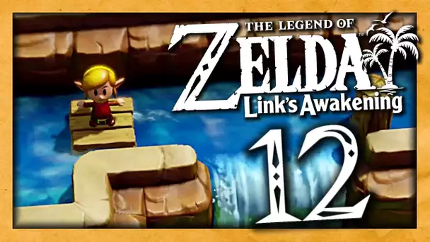 ZELDA LINK'S AWAKENING EPISODE 12 | UN MINI JEU TROP COOL ! NINTENDO SWITCH