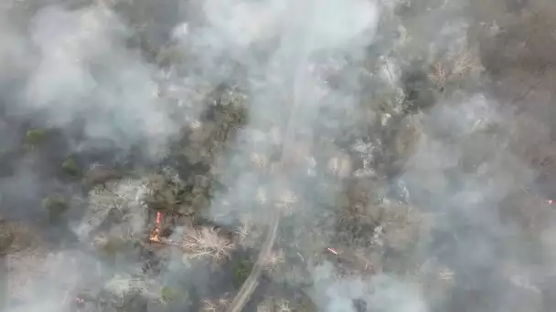 Un feu de forêt près de la centrale de Tchernobyl provoque une hausse de la radioactivité