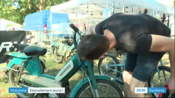 Fête de la mobylette : en selle pour une cure de jouvence à Graulhet