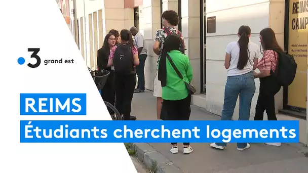 Reims : la course aux logements pour les étudiants