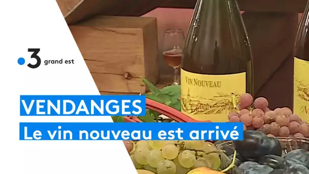 En Alsace le vin nouveau à de nombreux adeptes