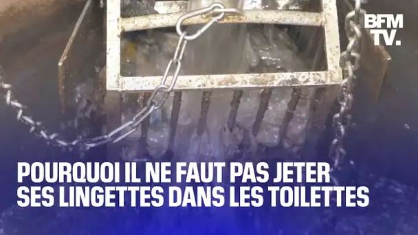 Pourquoi il ne faut pas jeter ses lingettes dans les toilettes