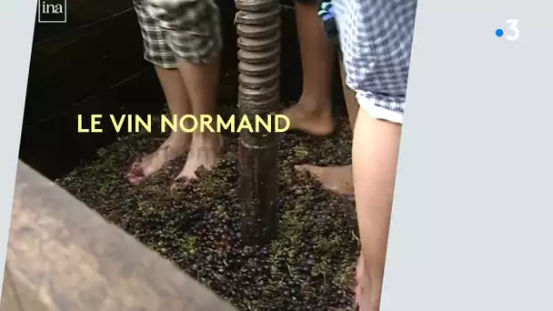 au fil du temps le vin normand