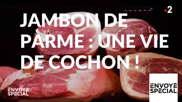 Envoyé spécial. Jambon de Parme, une vie de cochon ! - 27 juin 2019 (France 2)