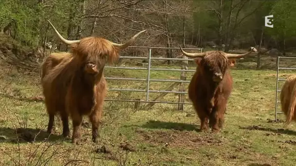 Limousin : des zones humides naturelles très surveillées