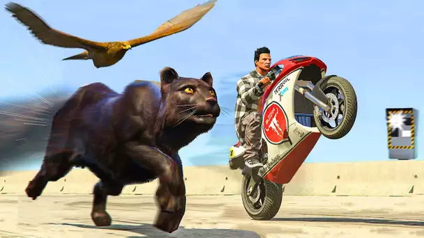 ANIMAL LE PLUS RAPIDE DE GTA 5