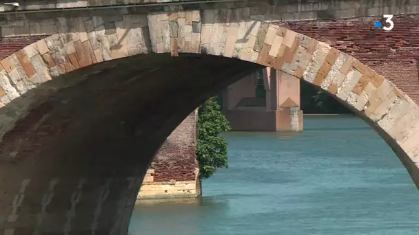 Confinement : la nature reprend ses droits en centre ville de Toulouse