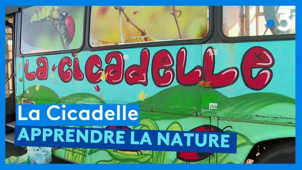 La Cicadelle : une association pour apprendre la nature près de chez soi