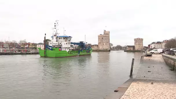 Dragage à La Rochelle : plus un seul bateau dans le vieux port