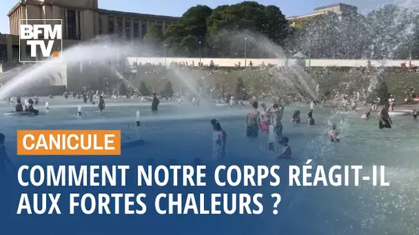 Canicule: comment notre corps réagit-il aux fortes chaleurs ?