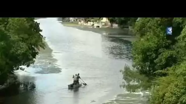 Surmortalité piscicole dans le Loiret