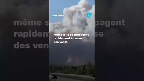 Le Canada ravagé par les feux de forêt • FRANCE 24