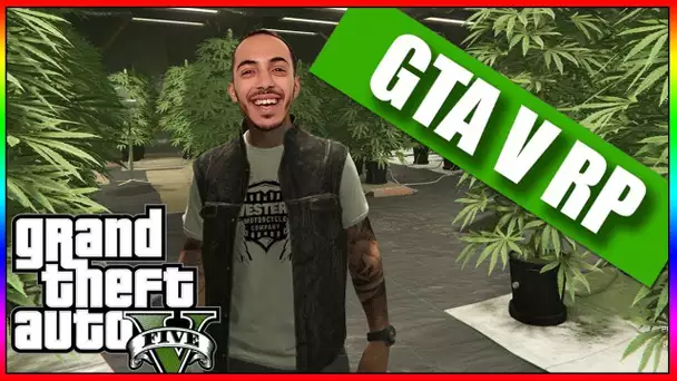 [🔴LIVE] JE VAIS FAIRE DE L’ILLÉGALE ! TOUT LES TERRITOIRES SERONT A MOI  !!!! GTA 5 RP