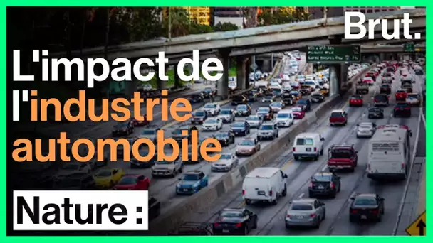 Pollution : Greenpeace dénonce l'impact de l'industrie automobile