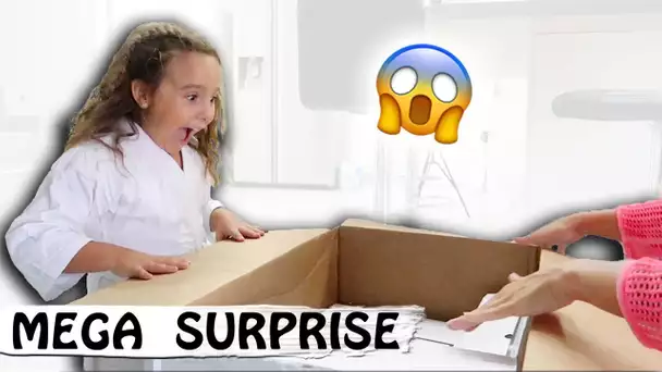 BIG COLIS SURPRISE : Elle n&#039;en croit pas ses yeux 🙃 / Family Vlog