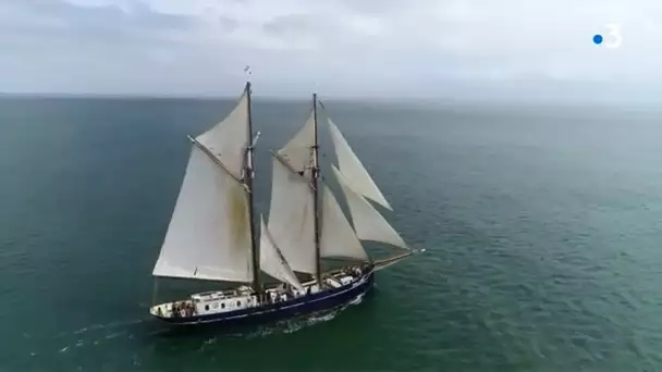 Le retour marine marchande à voile ?